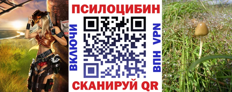 Псилоцибиновые грибы мицелий  Купить где  Георгиевск 