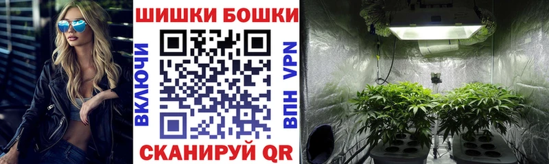 Купить закладки  Георгиевск  Шишки марихуана Ganja 